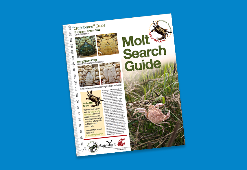 Molt search guide cover