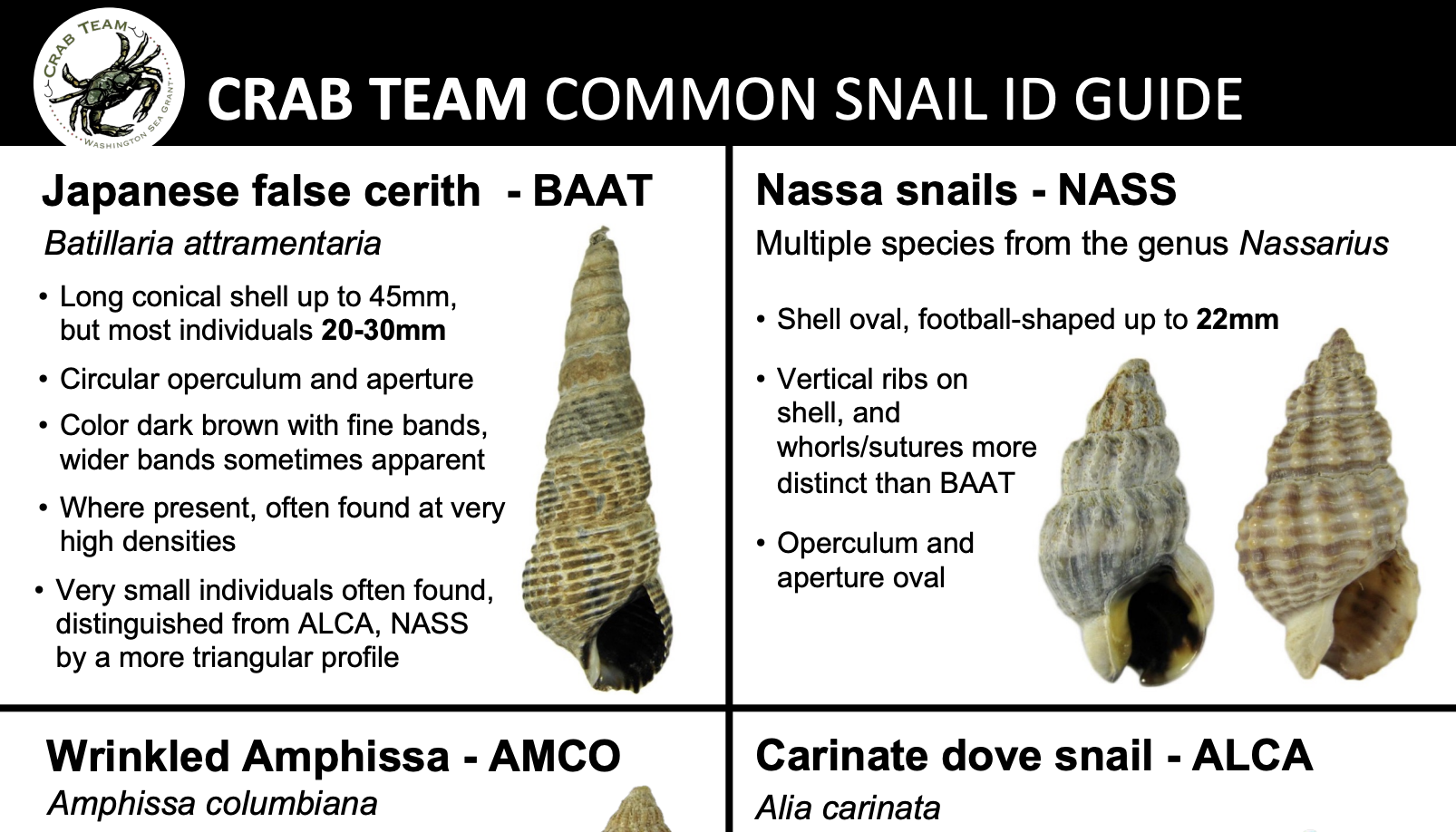 Snail-ID-Guide cover