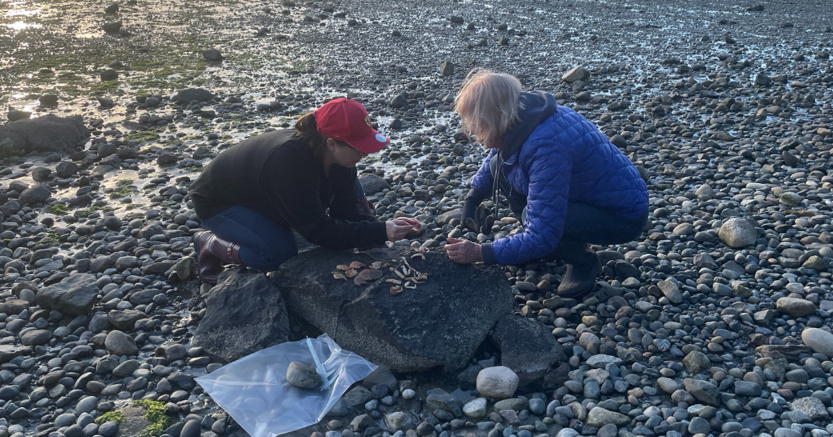Two monitors on the beach inspecting their molts