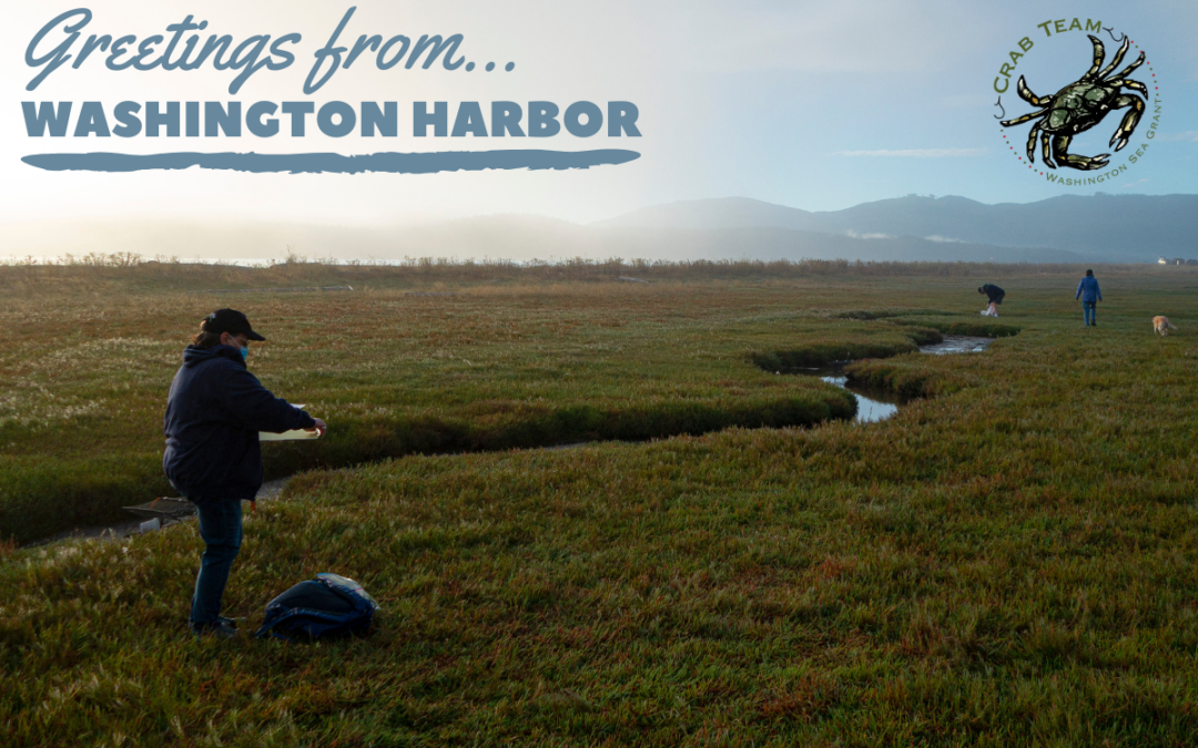 Washington Harbor
