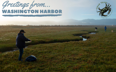 Washington Harbor