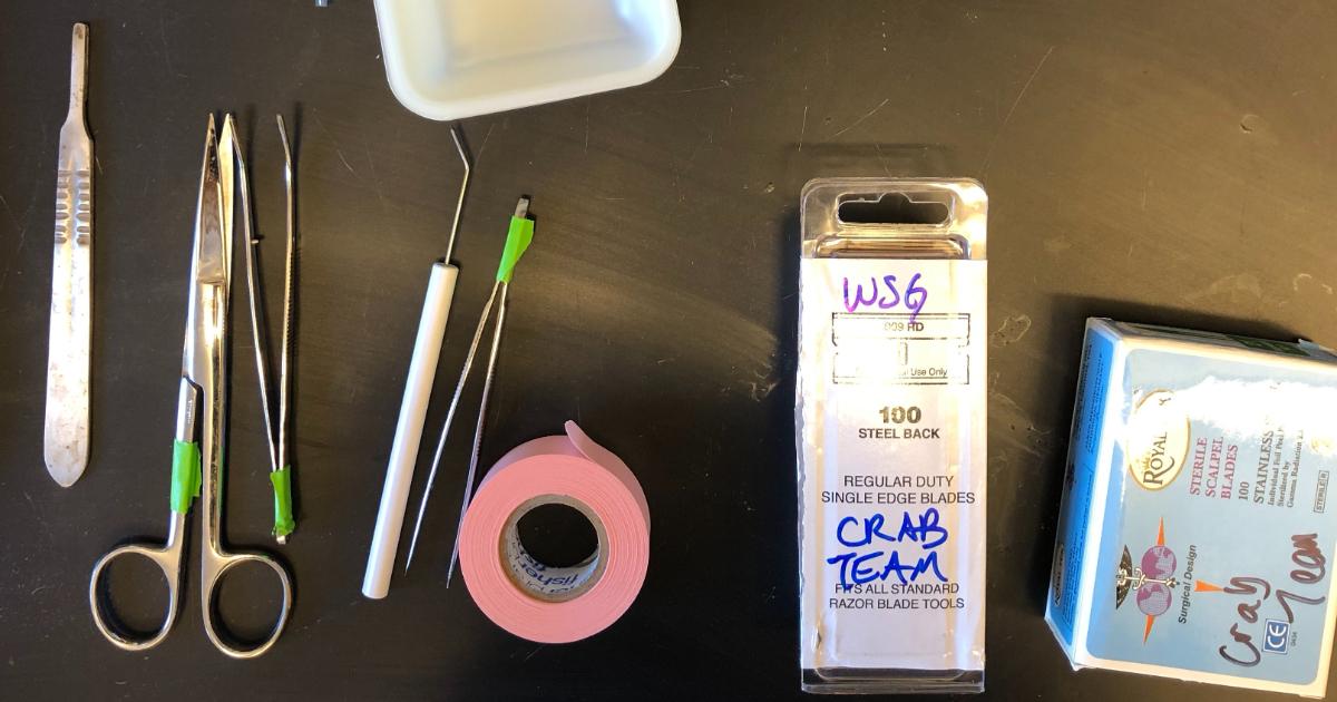 Crab team lab gear including scissors, tape and labels laid out on a table