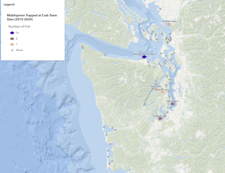 Screenshot-2024-11-15-at-1.43.17 PM-768x590