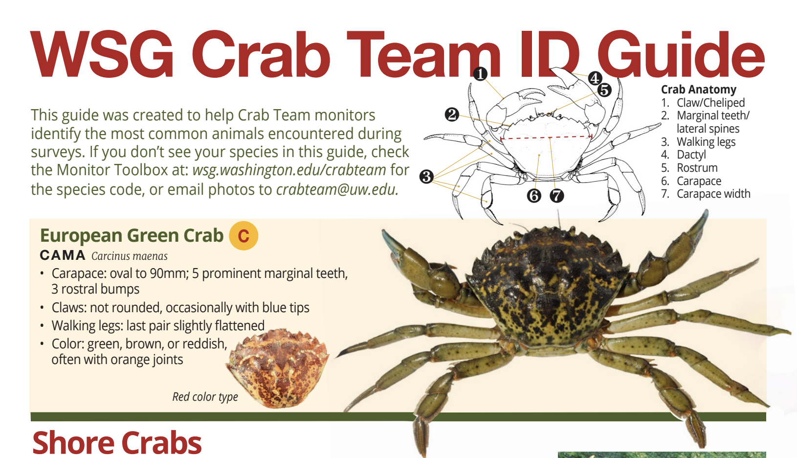 WSG Crab Team ID Guide cover