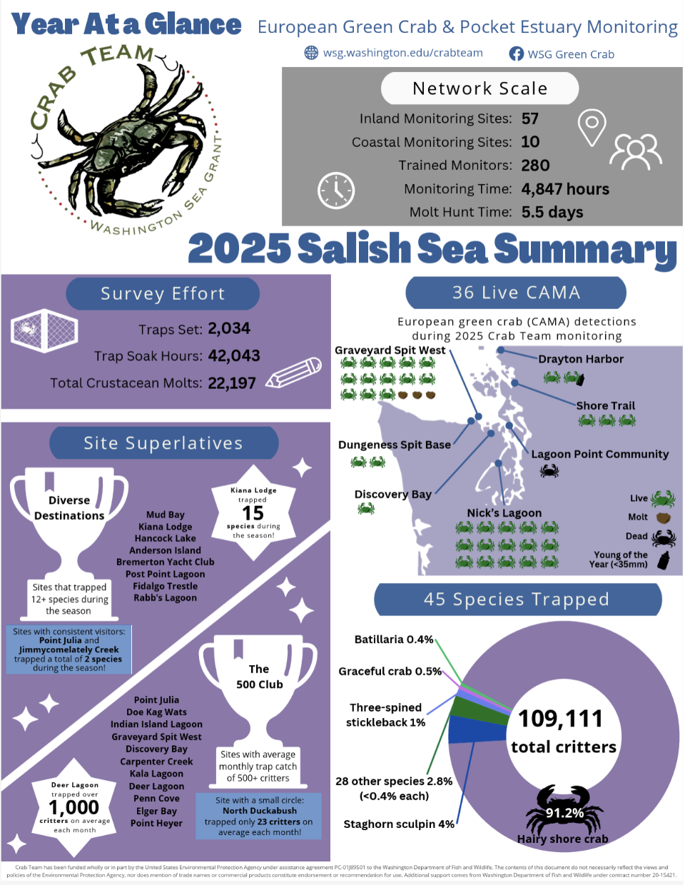 Infographic Cover