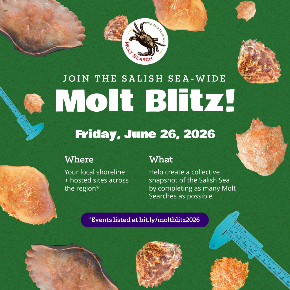 A flyer with Molt Blitz event details. Follow the link for more information