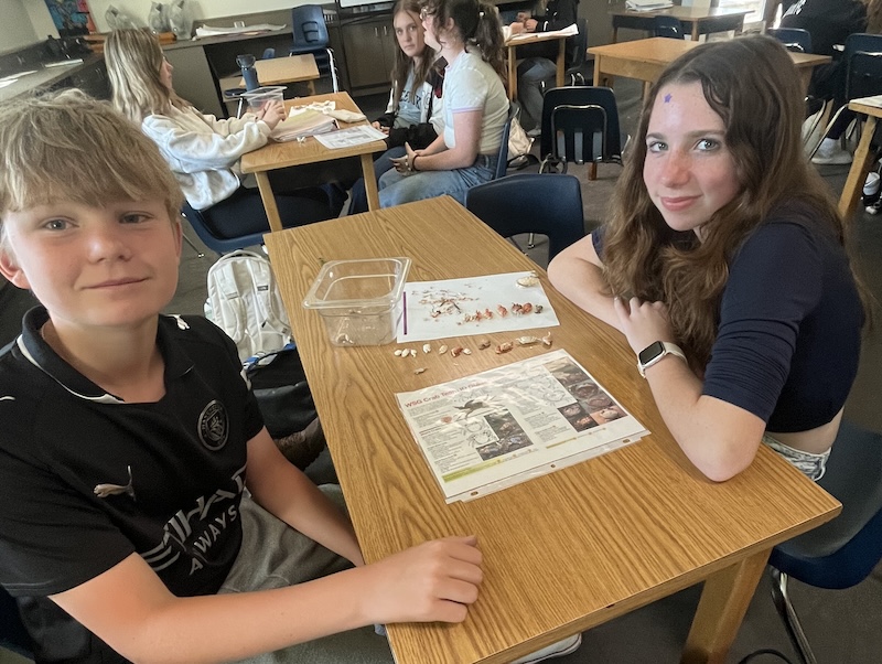In a classroom, students sit grouped around two tables sorting molts, with identification guides on their tables and small buckets of crab shells arranged on the table top. At the nearest table, a student sits on either side, facing the camera smiling.