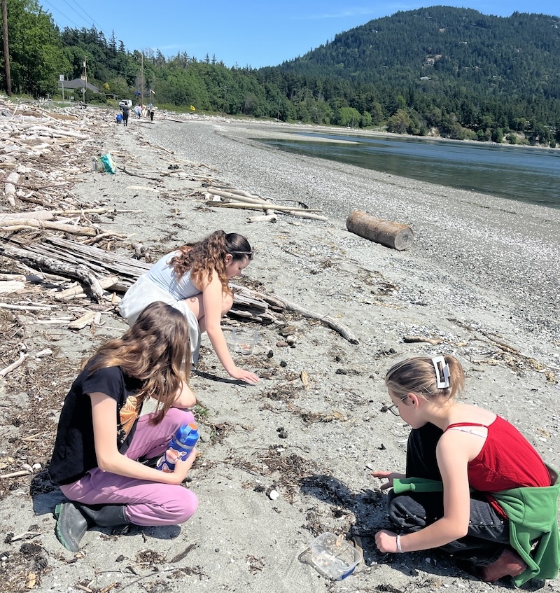 Three students kneel on a beach collecting crab molts.