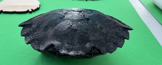 Student makes first detection of Green Crab in False Bay, San Juan Island
