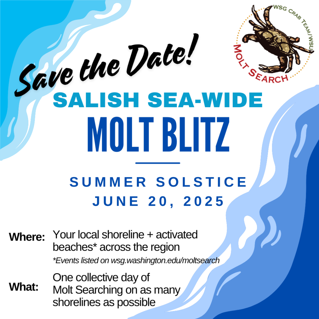 2025 Molt Blitz details