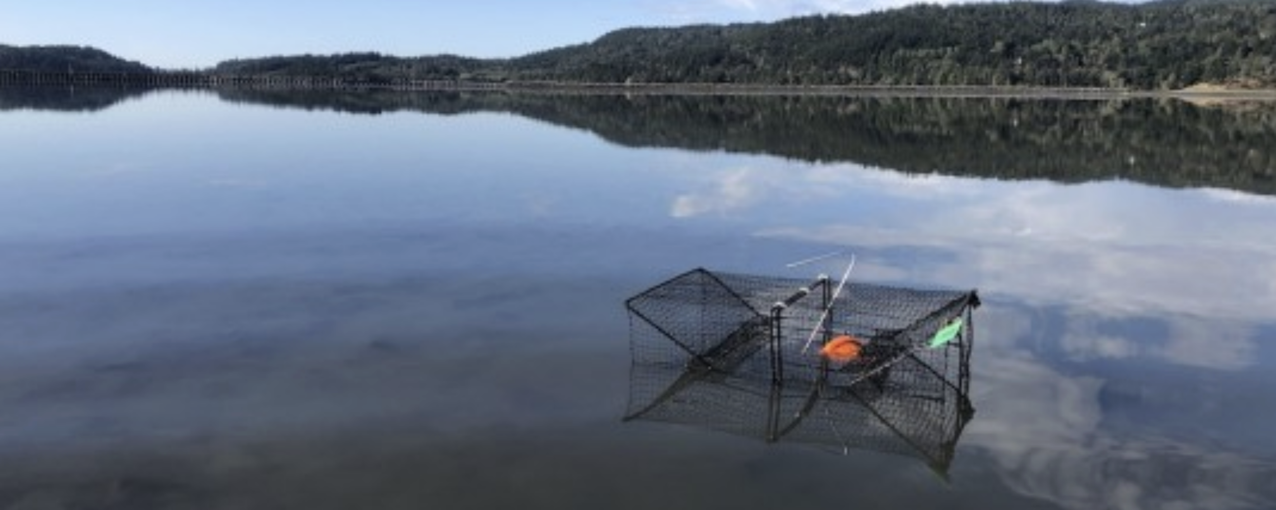 Floating trap in the blue water