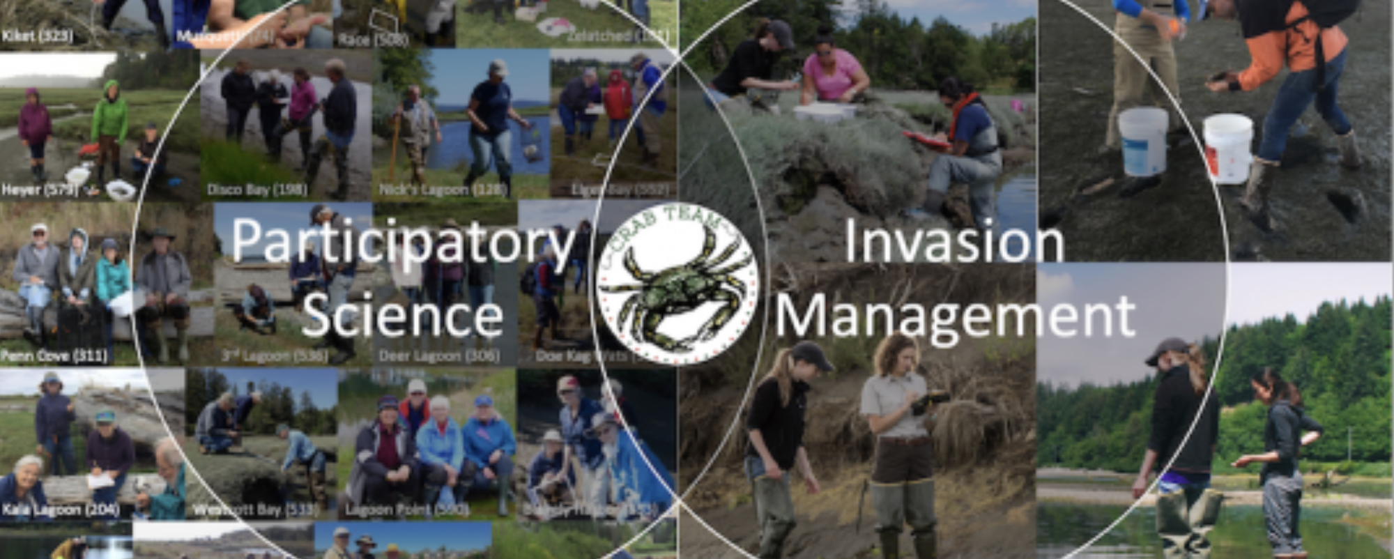 Venn diagram reading "participatory science" on the left, "invasion management" on the right, and the crab team logo in the middle, overlaid on top of mycoast submissions