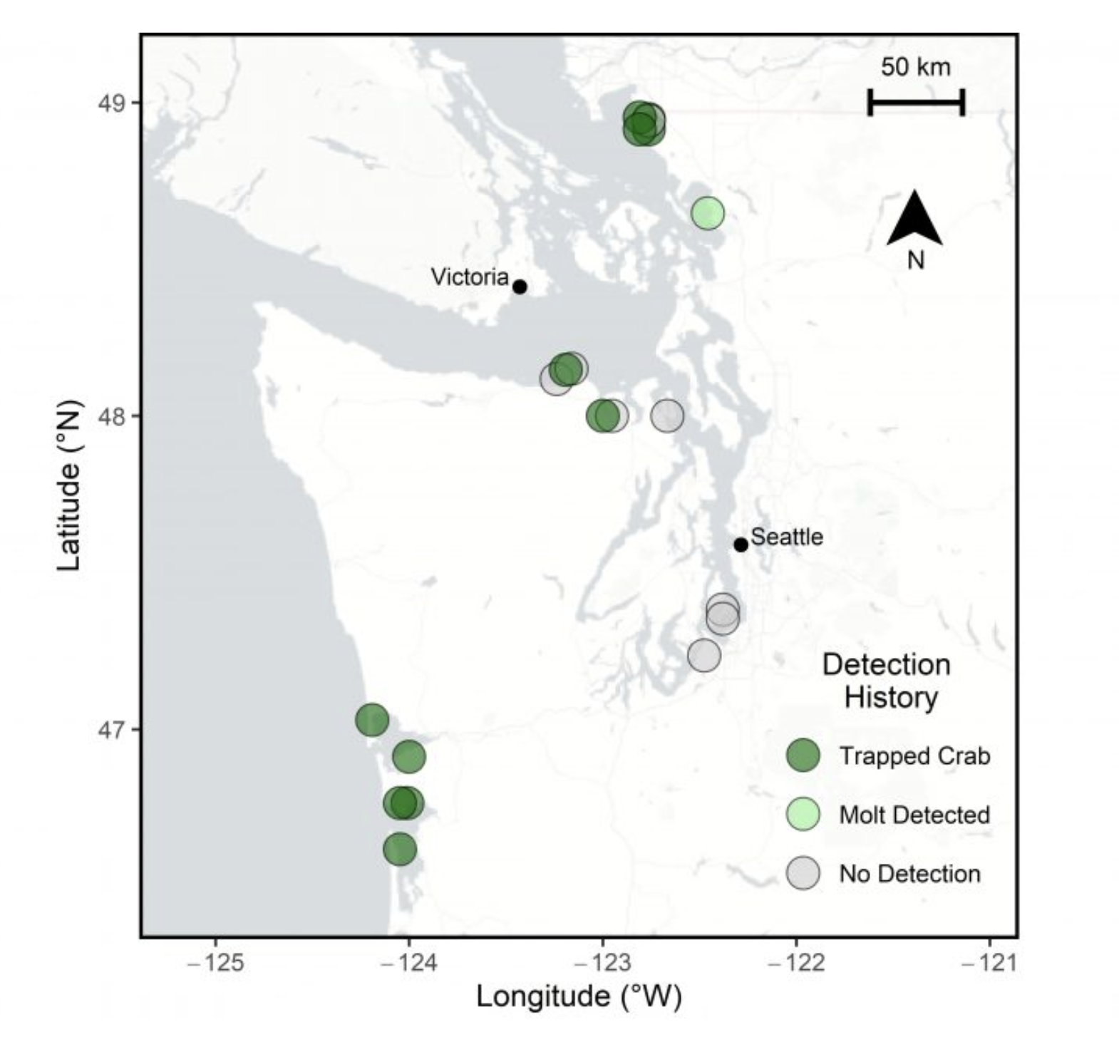 A map of Washington coastline shows 20 sites where results of eDNA and trapping surveys were compared as part of the green crab eDNA project. Sites where green crabs were confirmed present via trapping in 2021 are shown in Drayton Harbor, Willapa Bay, Grays Harbor and the north Olympic Peninsula. One site, Chuckanut Bay, shows that a molt was detected, but no live green crabs captured. Several sites in south Puget Sound, near Tacoma and Olympia, and one site near Port Townsend, have never had any prior detections of green crab via trapping or molt surveys.
