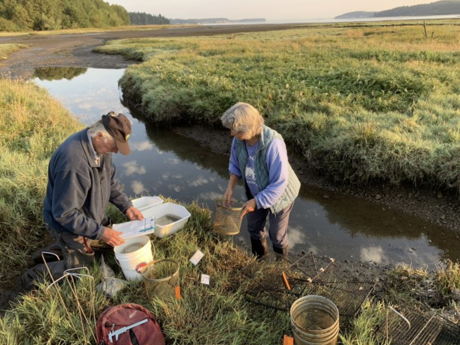 A photo shows two people processing monitoring traps in a salt marsh channel.
