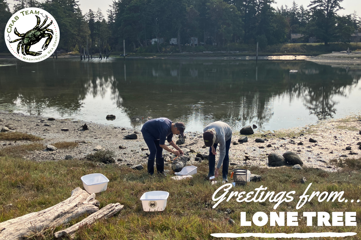 Two people are in the middle foreground leaning down and looking at a white bin amongst other field gear with Lone Tree Lagoon in the background.
