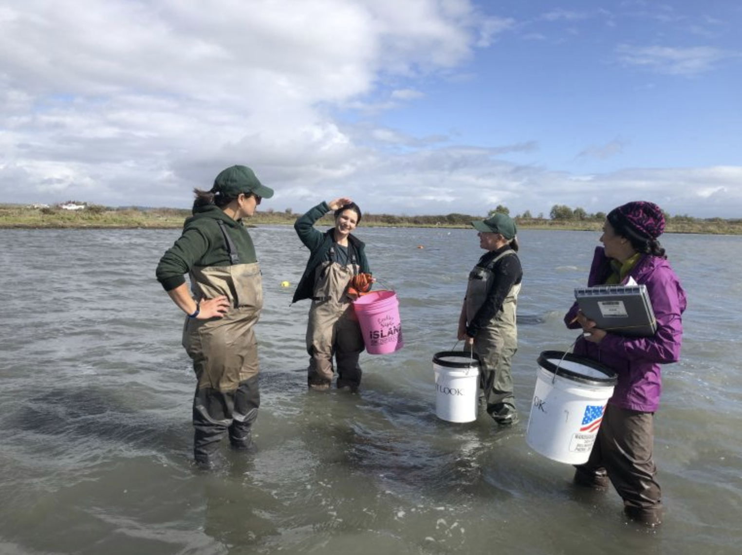 Four green crab crew members stand in shallow water, carrying buckets and clipboards.
