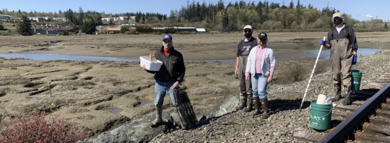 A team of four volunteers with masks stands socially-distanced and carrying equipment for monitoring. The Swinomish casino marsh is in the background.
