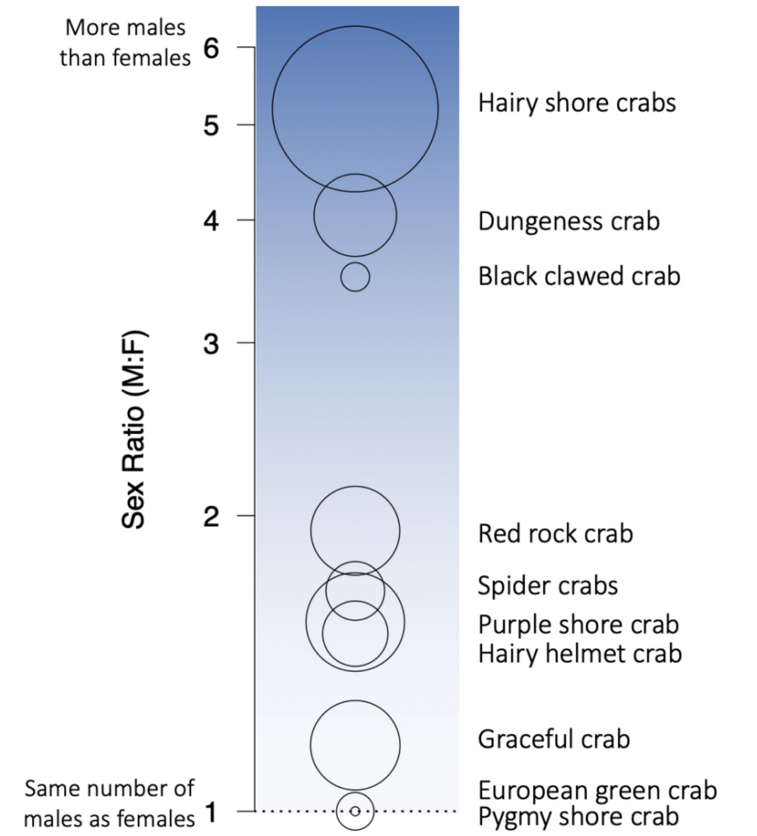 ProtocolinFocus_Chart