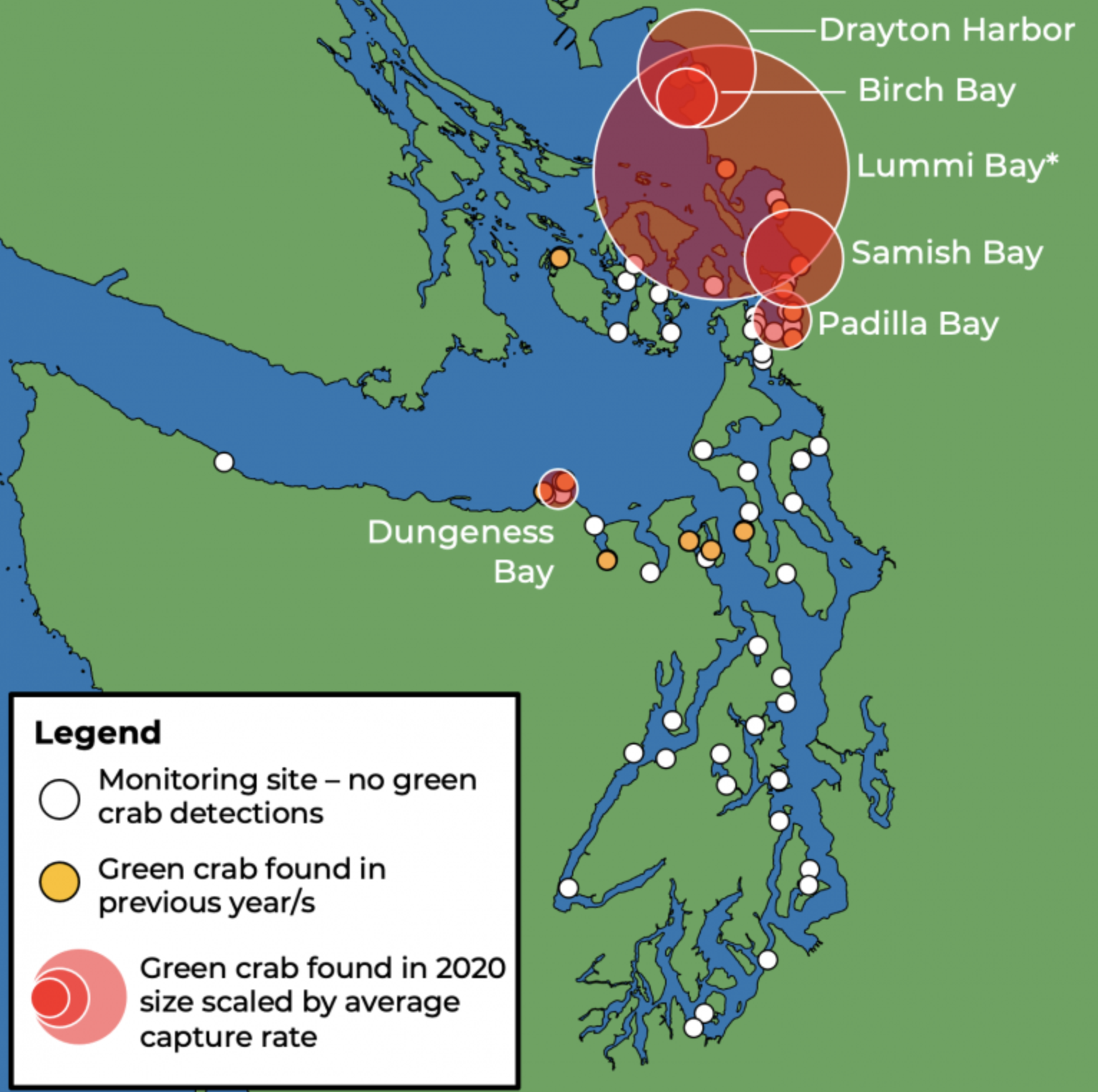 2020SalishSeaUpdate_Map Map of sites along inland Washington shorelines trapped during 2020. The map does not include survey data from populations in British Columbia, e.g., Sooke Basin. Data from Lummi Bay provided by Lummi Natural Resources*.