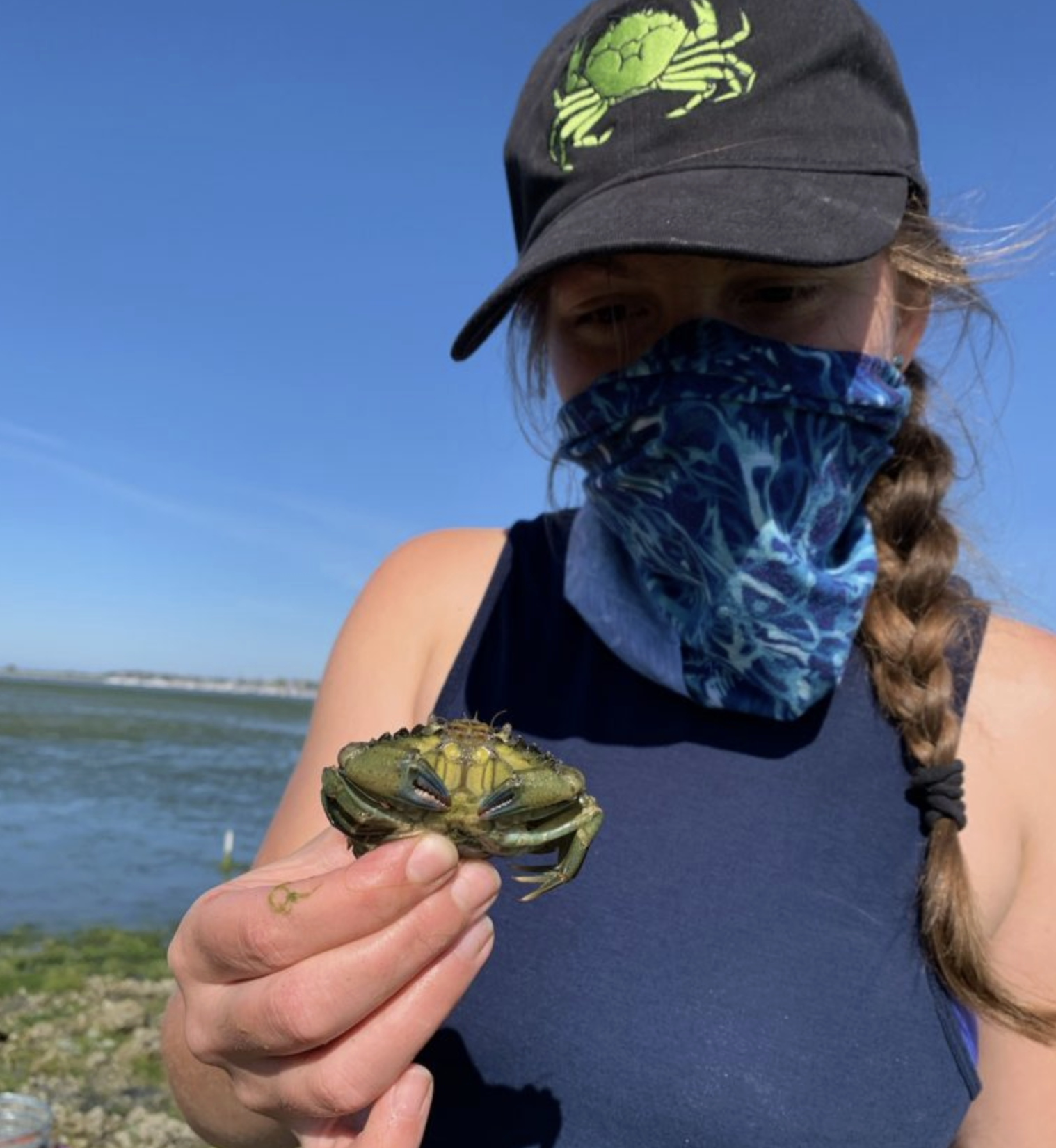 Alex Stote holding a European Green Crab