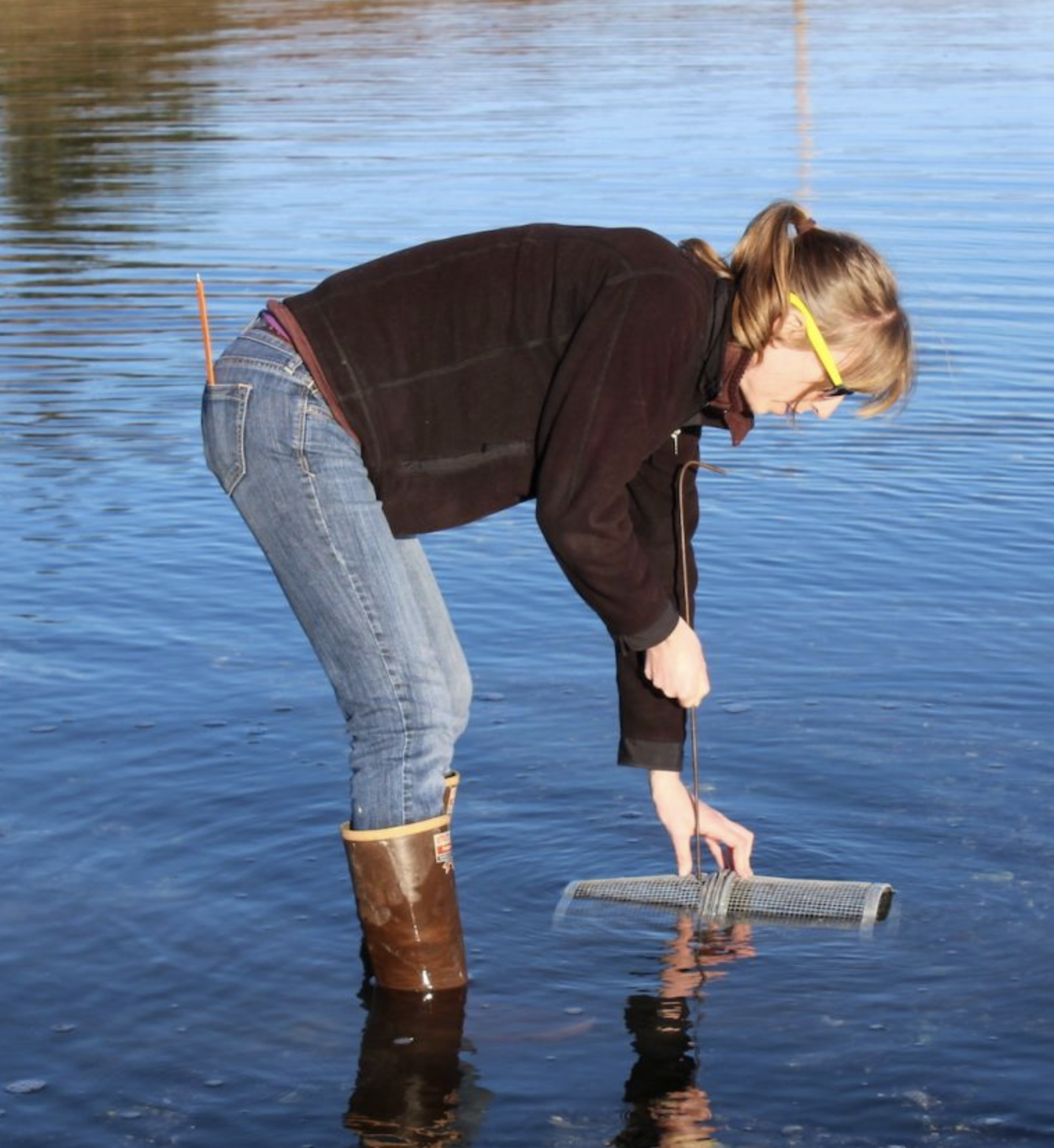 Emily demonstrates setting traps in places so they are always underwater, even on the lowest low tides. 