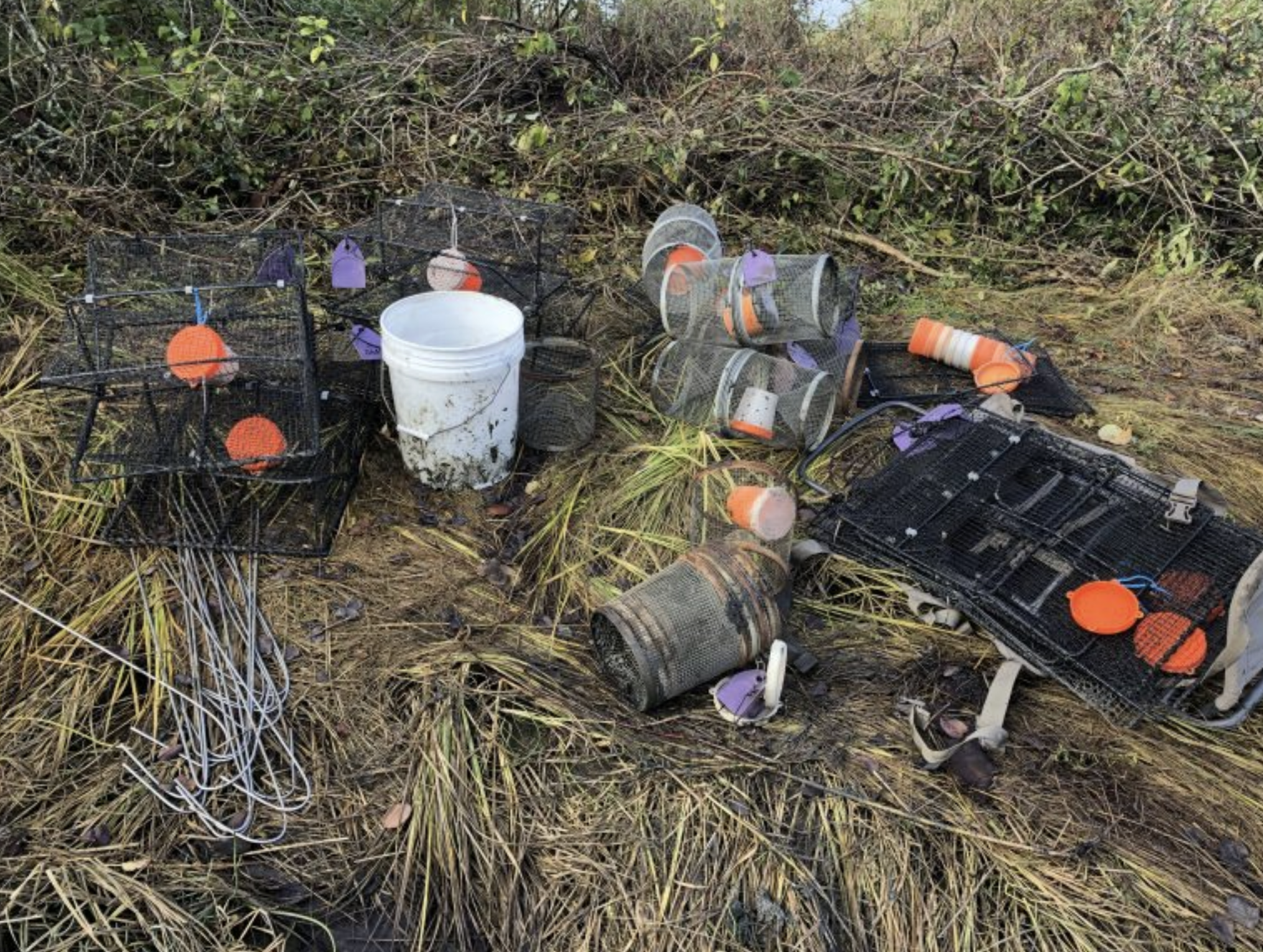 Pile of muddy minnow and fukui traps, stakes and bait jars.<br />
