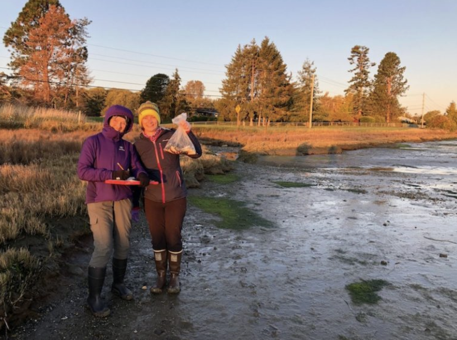 Crab Team volunteers Margarette Grant and Eleanor Hines braved the chilly early morning and frozen mackerel to help trap in Drayton Harbor. 