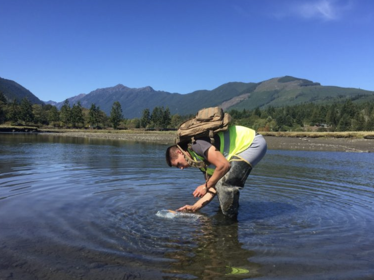 UW Capstone student Bryton Siefert in 2015 working to assess the efficacy of bait types (Photo: Sean McDonald)<br />

