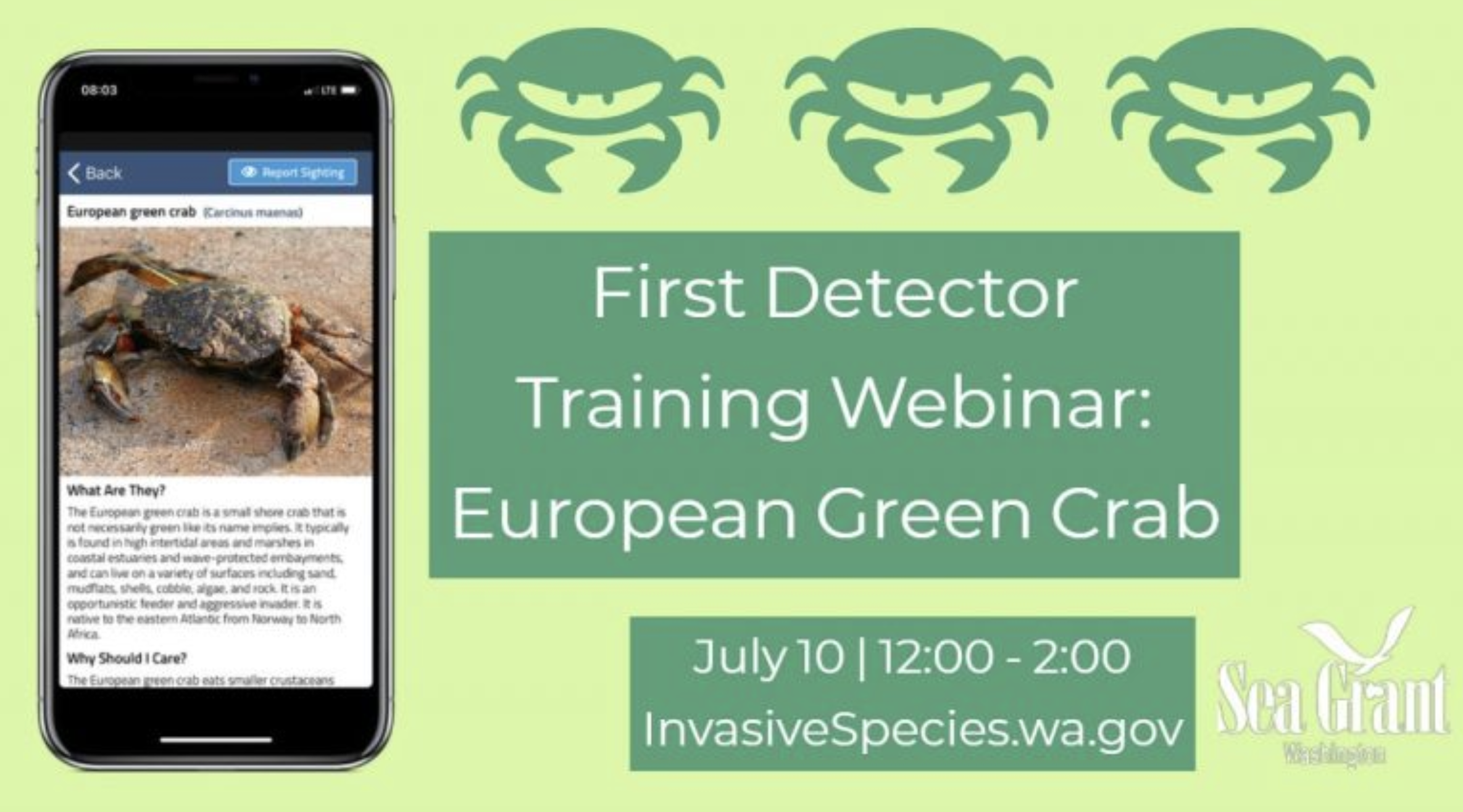 egc-building-capacity_webinar