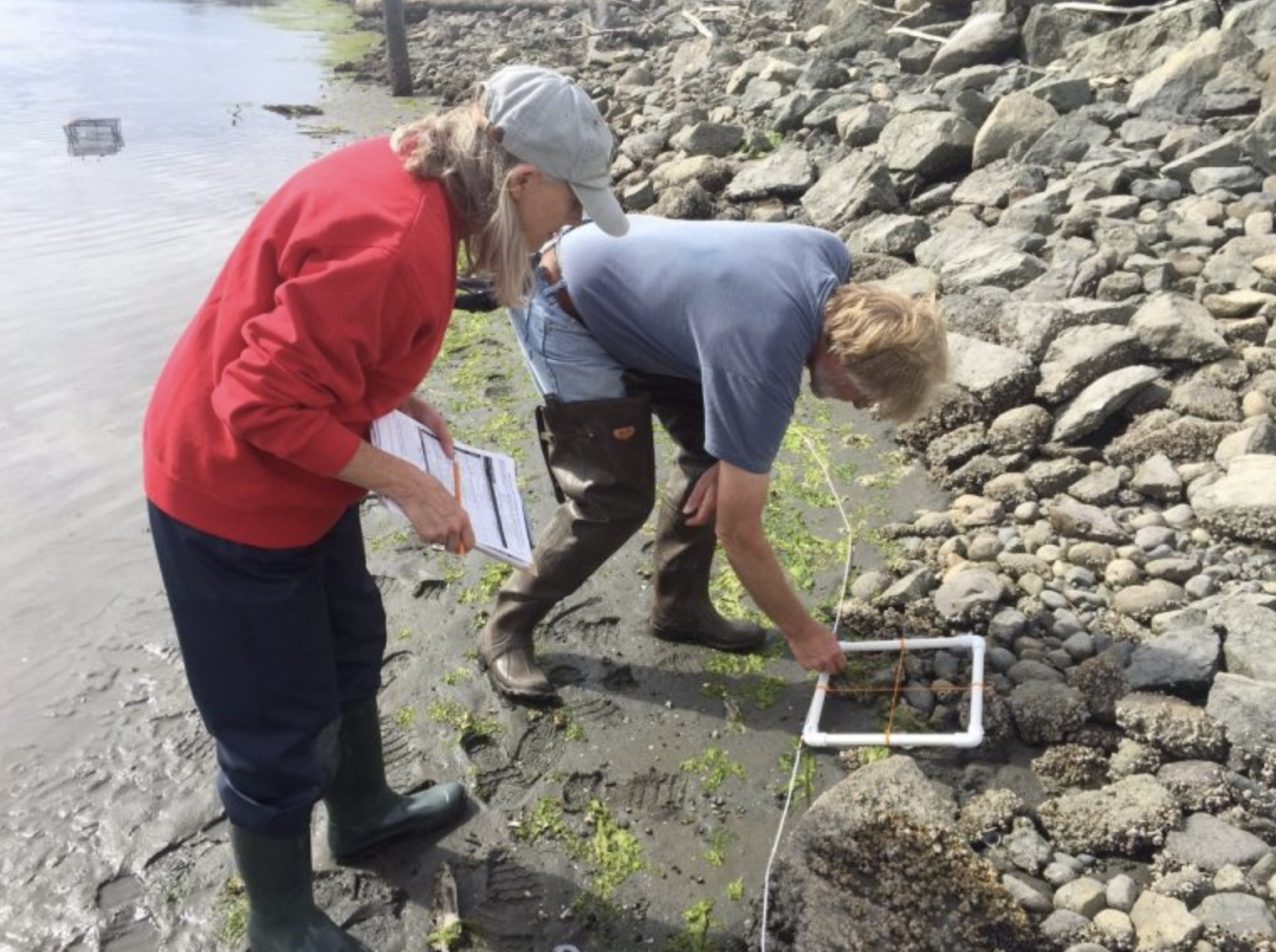 Tom and Finn in 2015 at the foot of the riprap.</p>
<p>