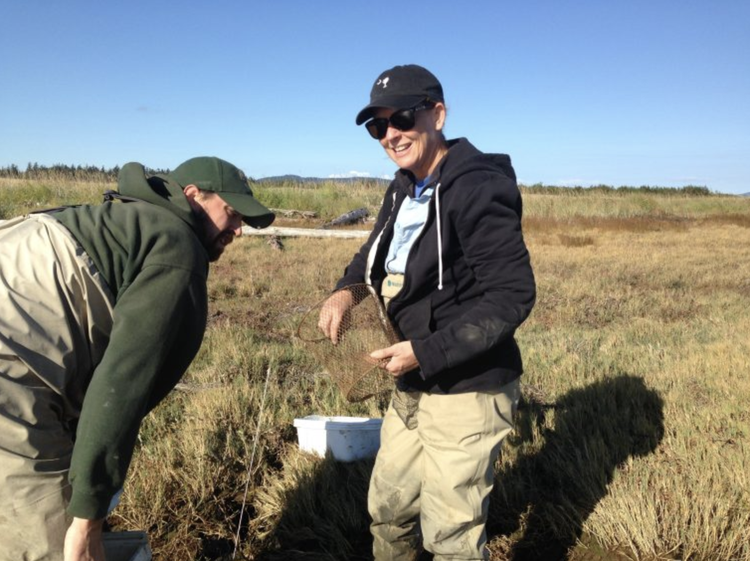 Richard Visser (WDFW) and Suzanne Shull (PBNERR) refresh the bait in a minnow trap, similar to those that captured 2 additional European green crabs in Padilla Bay today. (Photo: Emily Grason).<br />
