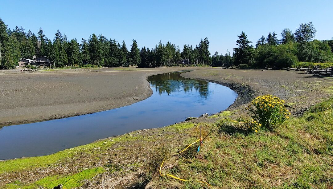 Drayton Harbor
