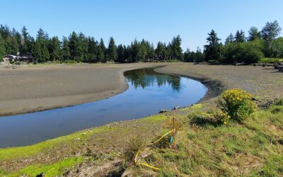 Drayton Harbor