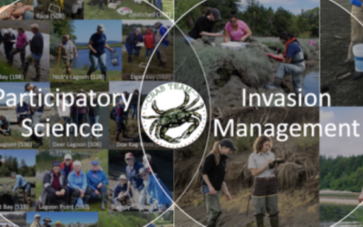 Fifth anniversary of first Green Crab detection