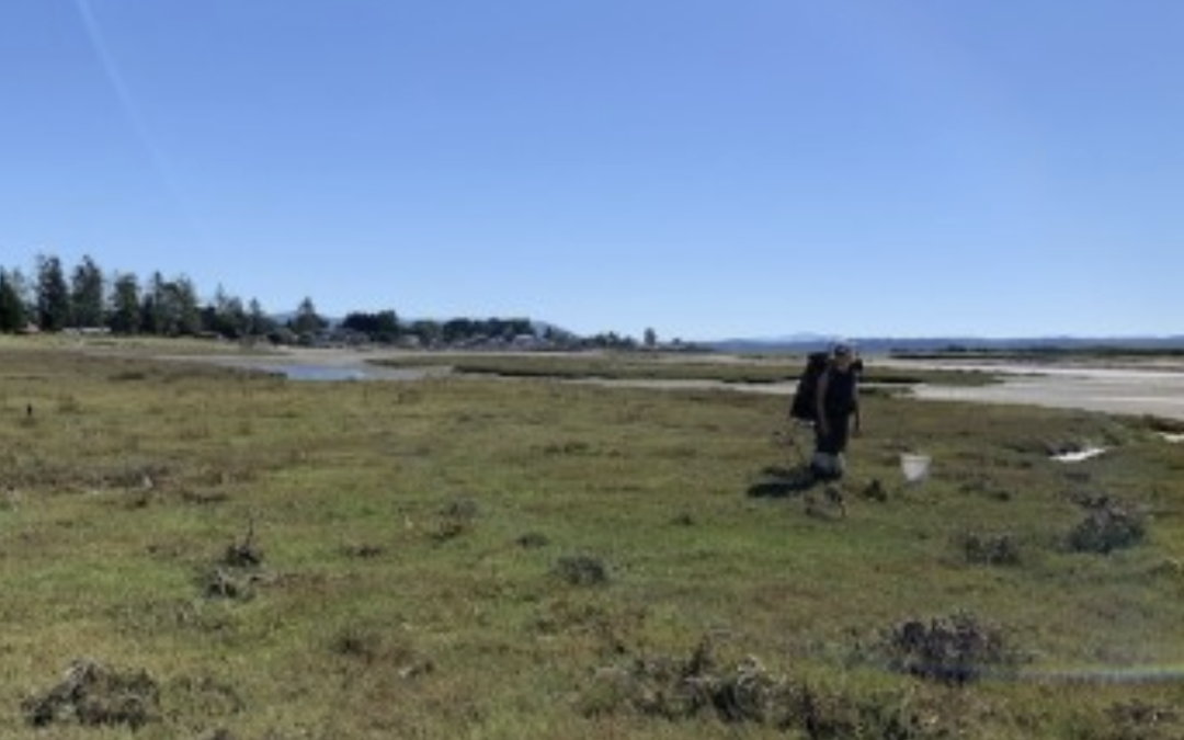 Meet Alex Stote, Crab Team Coastal Specialist at WSG