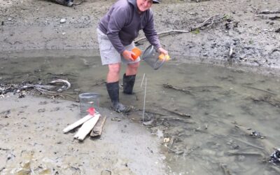 Dungeness Spit