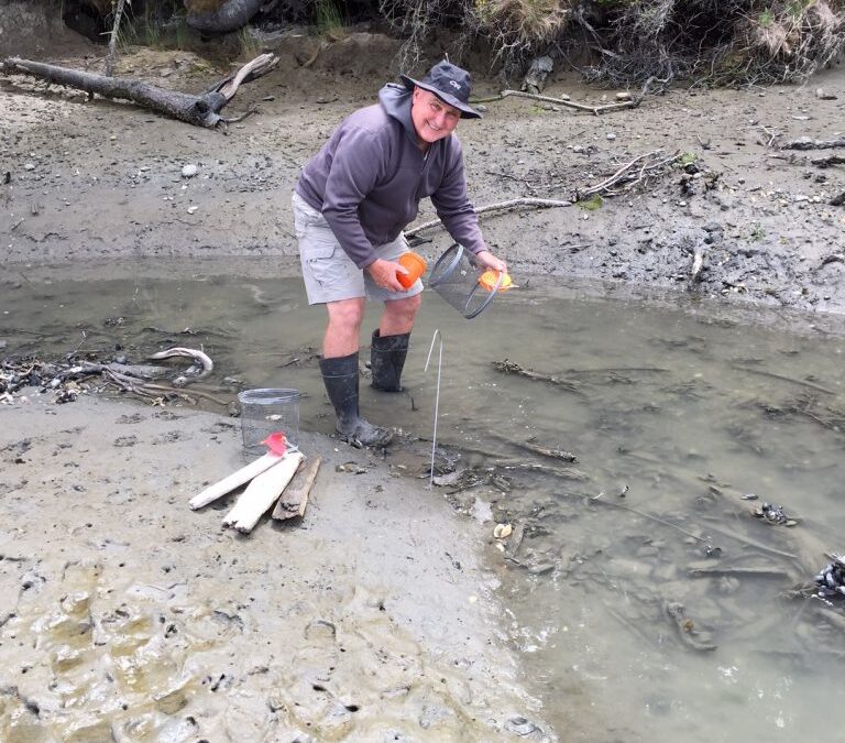Dungeness Spit