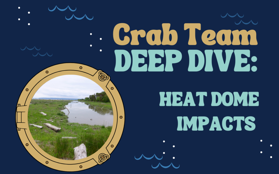 Heat Dome Impacts