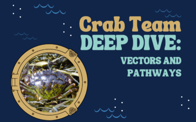 Deep Dive: Vectors and Pathways