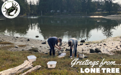 Greetings From: Lone Tree Lagoon