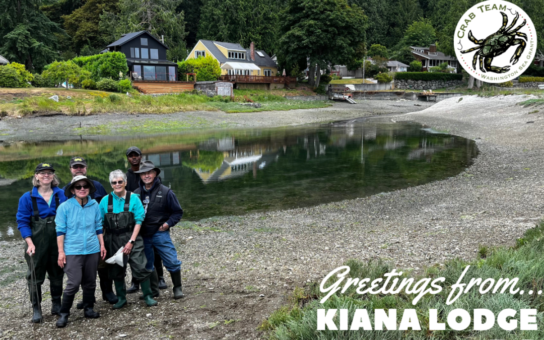 Kiana Lodge
