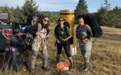 Green Crab trappers get skunked at Pysht