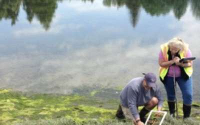 WSG Crab Team receives 2020 Salish Sea science prize