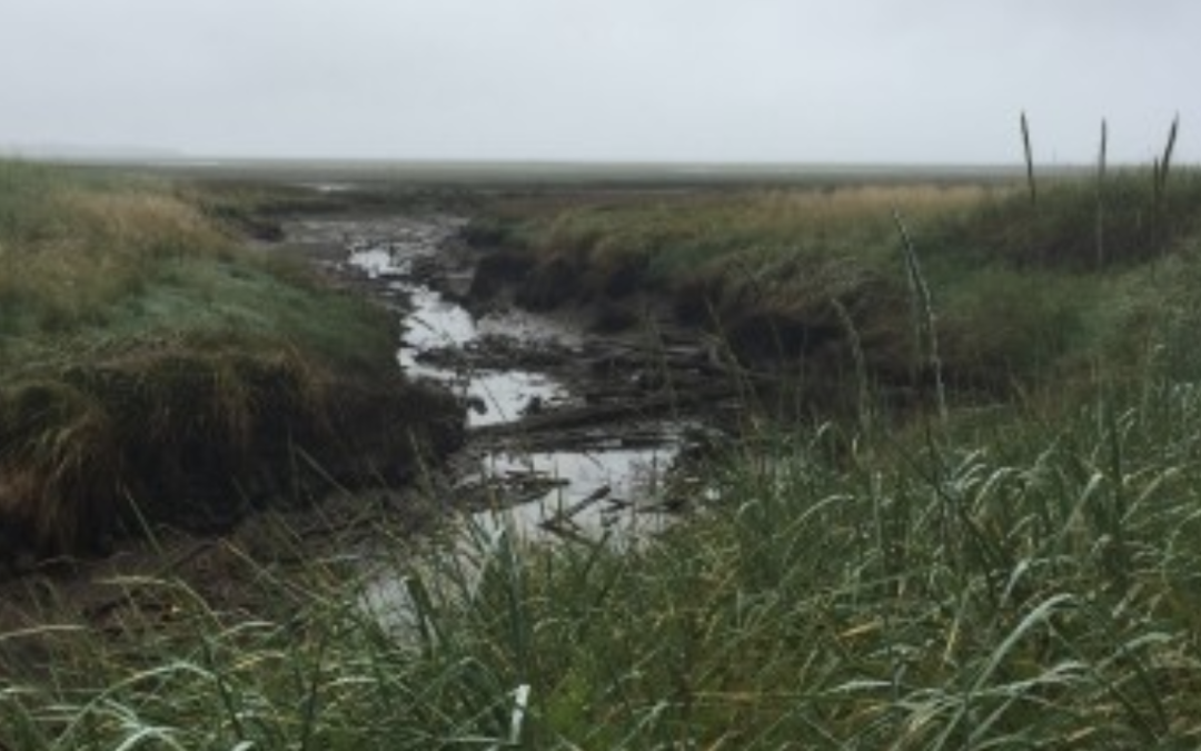 Crab Team takes Willapa Bay by storm!
