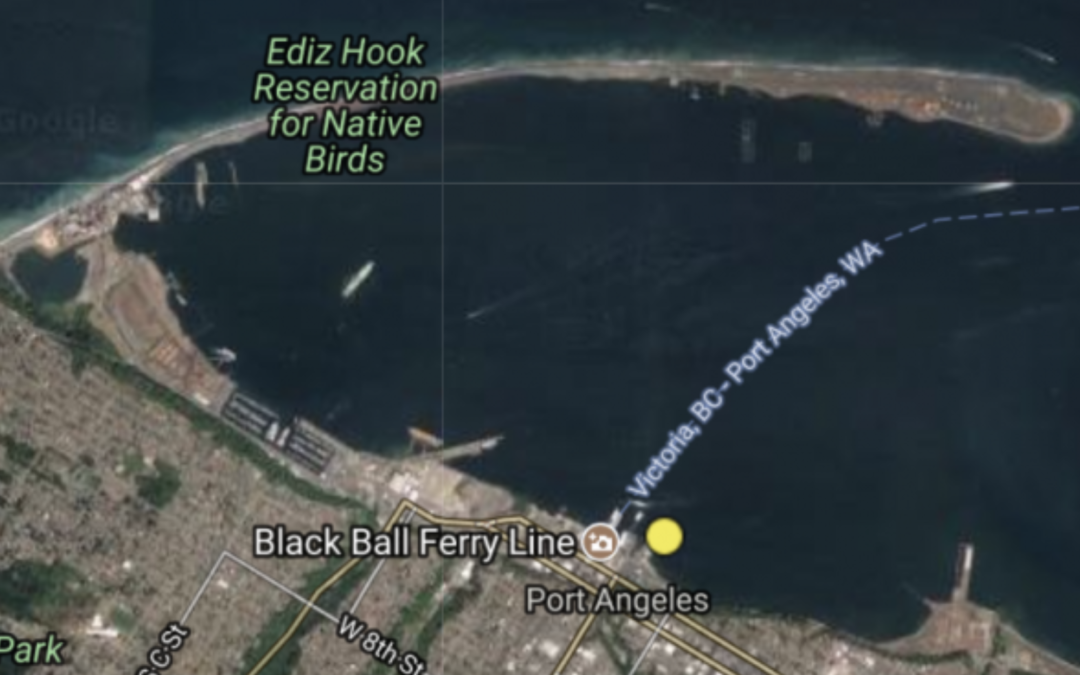 CORRECTION: First European Green Crab confirmed in Port Angeles