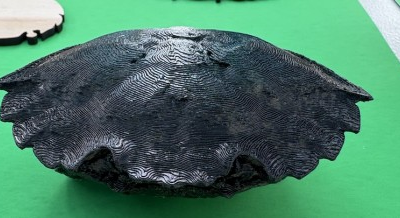 Student makes first detection of Green Crab in False Bay, San Juan Island