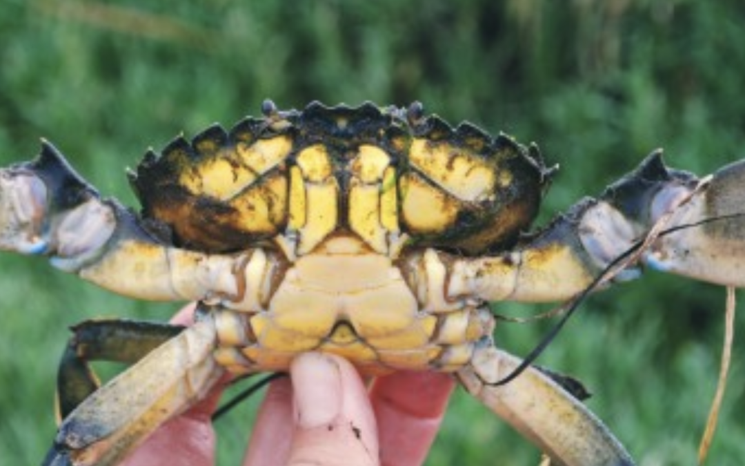 WSG Crab Team trip to Makah Bay