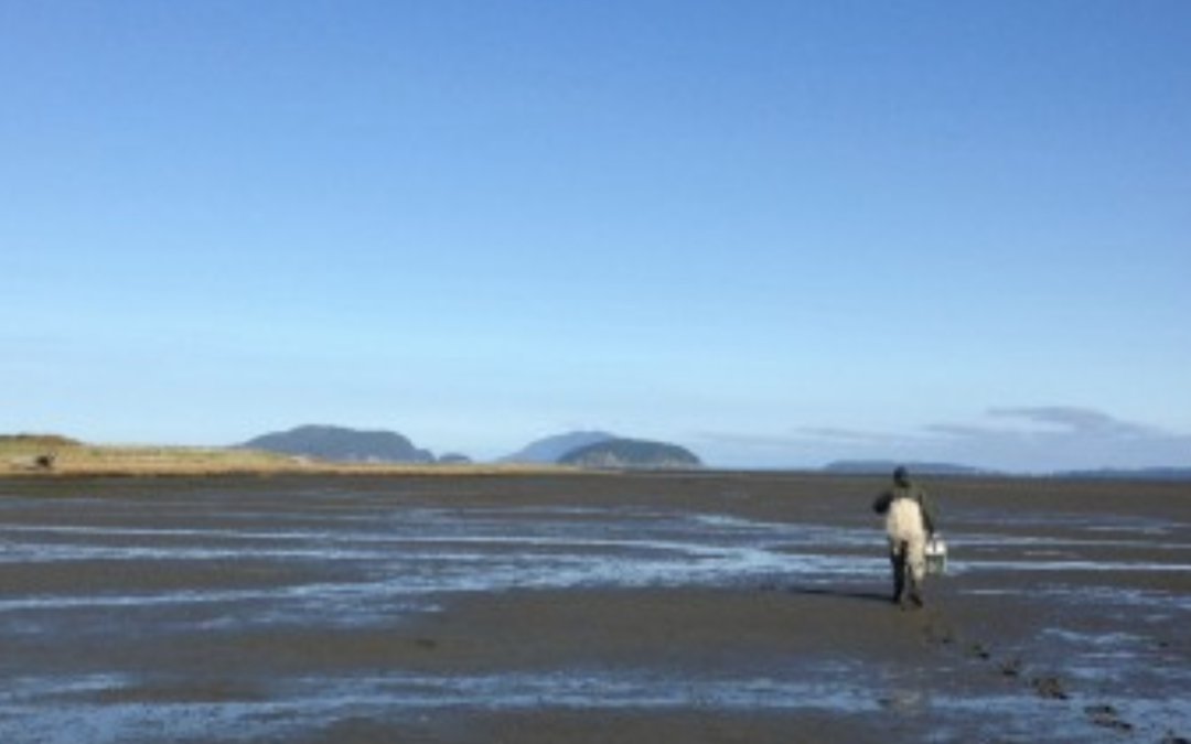 Padilla Bay Rapid Response: Day 2